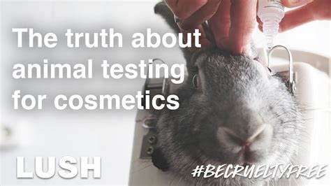 chanel no 5 animal testing|is Chanel animal friendly.